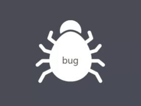 bug是什么意思