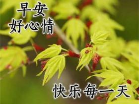 早上问候的暖心句子