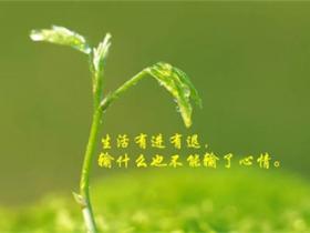 生活随心的句子