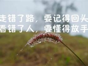 人生感悟的精美句子合集