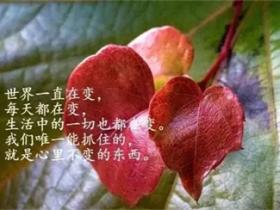 人生哲理的句子每个句子都很经典