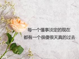 打动人心的情感语录合集