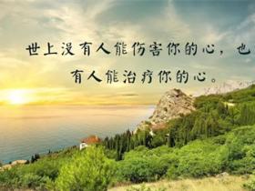 伤感的情感语录
