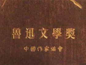 鲁迅文学奖