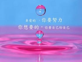 干净简短的励志句子