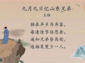 重阳节诗句合集