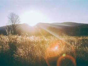 清晨的阳光唯美句子