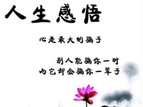 人生感悟经典名言有哪些