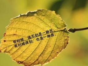 精选一些最透彻的人生感悟