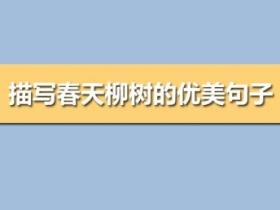 柳树的描写优美句子集合