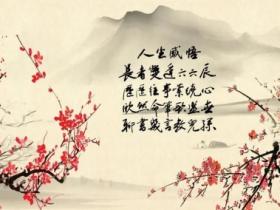 经典句子 人生感悟