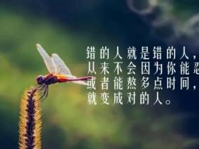 句句深入人心经典句子精选