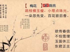 赞美梅花的诗句