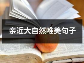 一个人享受大自然的唯美句子