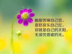 人生励志语录
