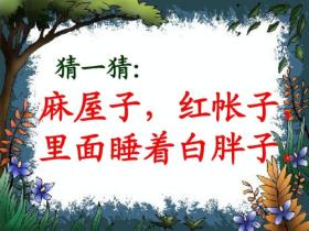 麻屋子红帐子里面住个白胖子谜语