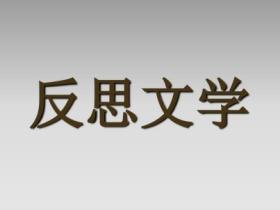 反思文学