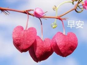 有品位的早安句子