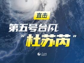 杜苏芮是什么意思