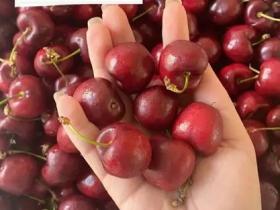 车厘子2J是什么意思