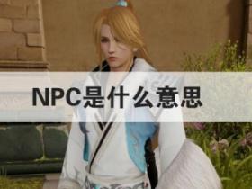 npc是什么意思