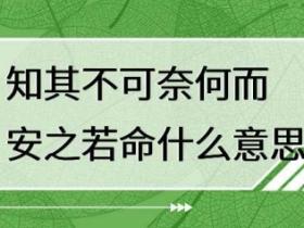 知其不可奈何而安之若命什么意思