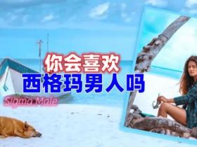 西格玛男人是什么意思