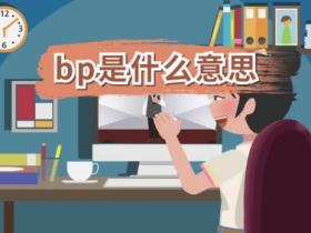 bp是什么意思