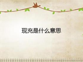 现充是什么意思?