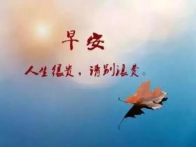 早安正能量适合发朋友圈的高质量句子