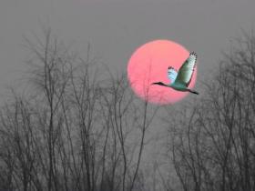 千古绝句最美句子