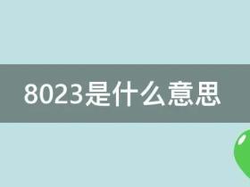 8023的含义是什么意思