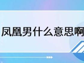 凤凰男什么意思啊