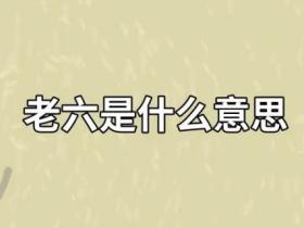 老六是什么意思