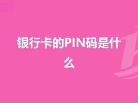 pin是什么意思