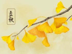 立秋是什么意思