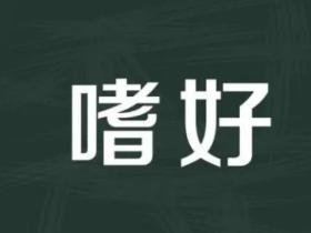 嗜好的意思