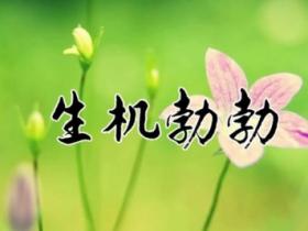 生机勃勃的意思