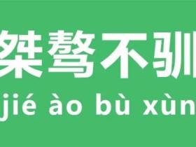 桀骜不驯的意思
