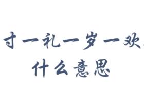 一岁一礼一寸欢喜的意思