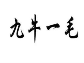 九牛一毛的意思是什么