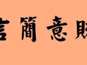言简意赅的意思什么