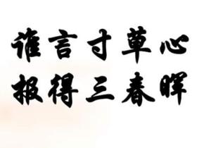 谁言寸草心报得三春晖的意思是什么