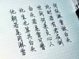 “他朝若是同淋雪,此生也算共白头”全诗是什么