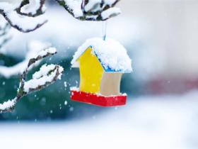 精选下雪适合发朋友圈的句子合集