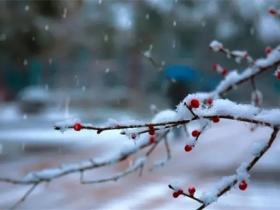 2023最火下雪文案短句精选