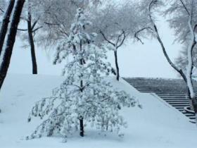 精选下雪的人生感悟
