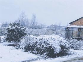 精选下雪天的文案合集