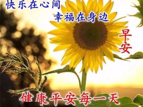 早晨问候的暖心短句合集