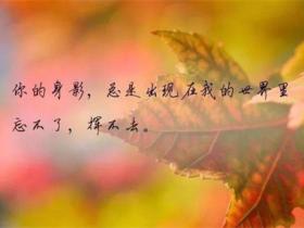 精选伤感文案短句扎心